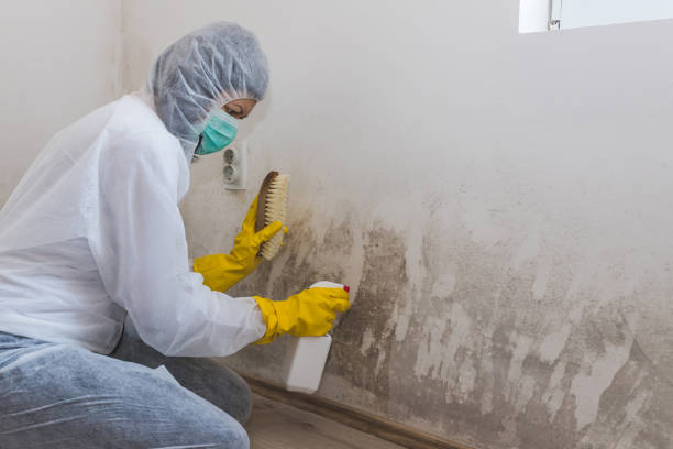 Mold Remediation for Rental Properties in Stony Prairie, OH